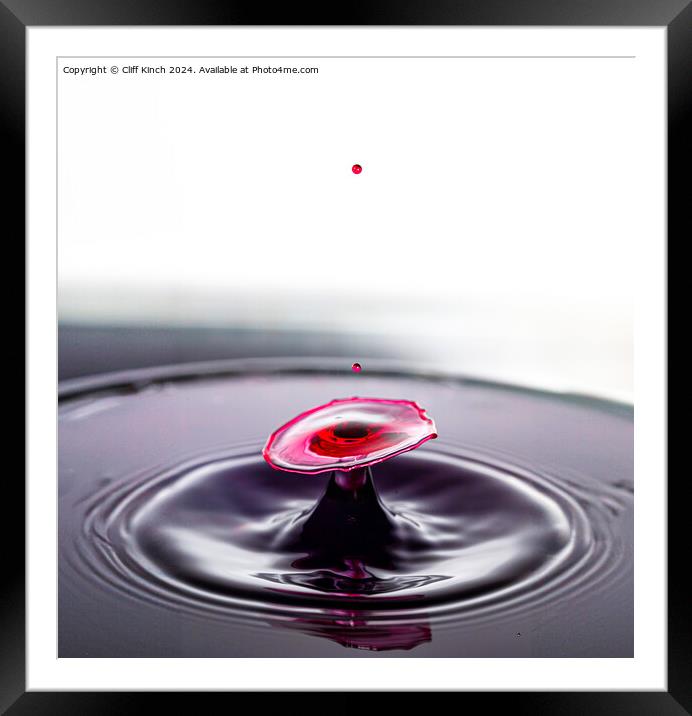 Water drop collision Framed Mounted Print by Cliff Kinch