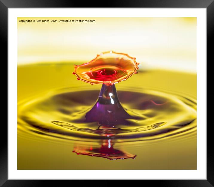 Water drop collision Framed Mounted Print by Cliff Kinch