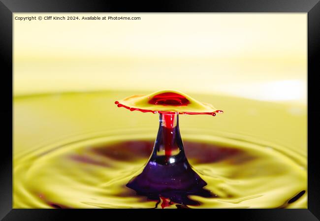Water drop collision Framed Print by Cliff Kinch