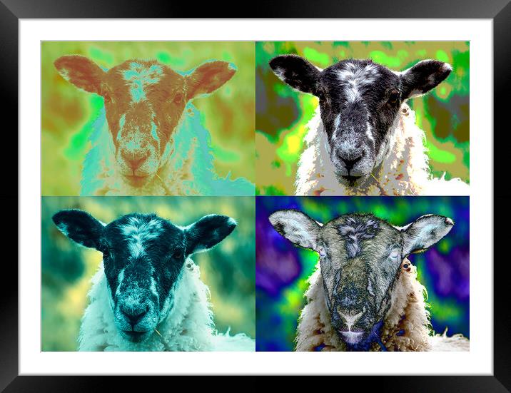 Dreaming of electric sheep Framed Mounted Print by Cliff Kinch