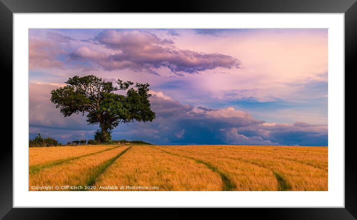 Golden Harvest Framed Mounted Print by Cliff Kinch