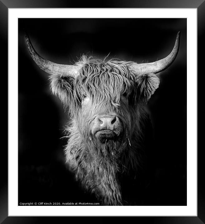 Highland Cow in black and white Framed Mounted Print by Cliff Kinch