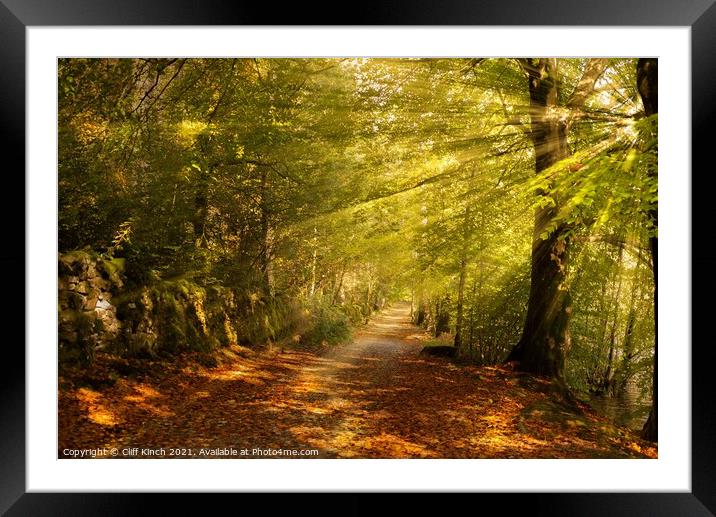 Sunrays on an autumn path Framed Mounted Print by Cliff Kinch