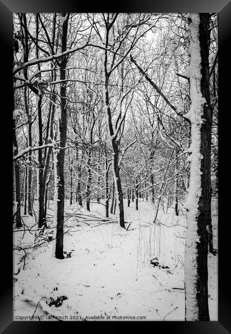 Monochrome forest Framed Print by Cliff Kinch