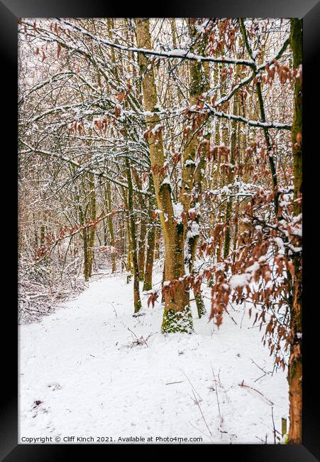 Snowy woodland path Framed Print by Cliff Kinch