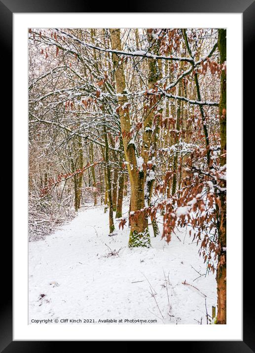 Snowy woodland path Framed Mounted Print by Cliff Kinch