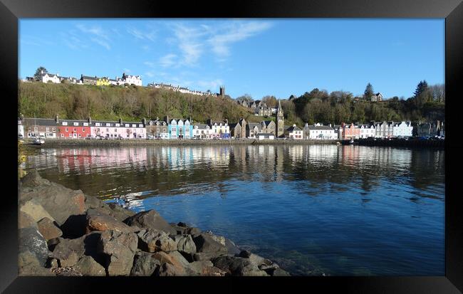 Tobermory - Isle of Mull  Framed Print by Mervyn Tyndall