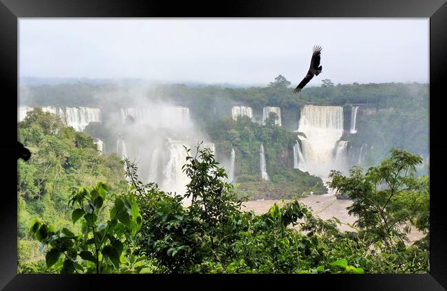 Iguazu  Falls - Brazil  Framed Print by Mervyn Tyndall