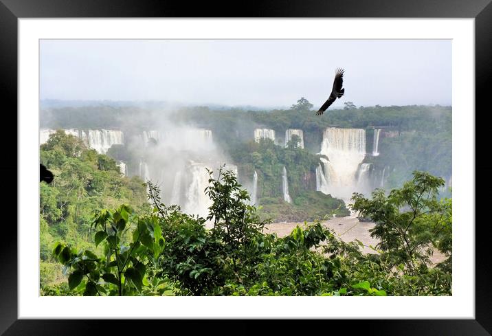 Iguazu  Falls - Brazil  Framed Mounted Print by Mervyn Tyndall