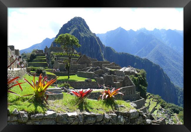 Machu Picchu,Peru Framed Print by Mervyn Tyndall