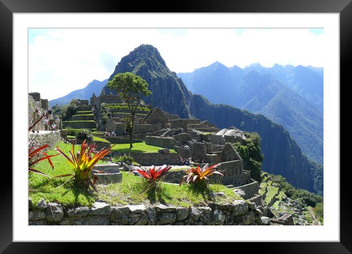 Machu Picchu,Peru Framed Mounted Print by Mervyn Tyndall