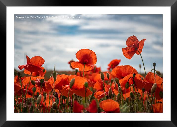 Field of poppies Framed Mounted Print by Vicky Outen