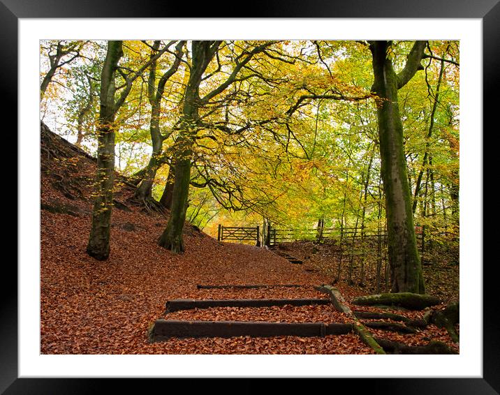 Autumn at Daisy Nook, Stockport Framed Mounted Print by Vicky Outen