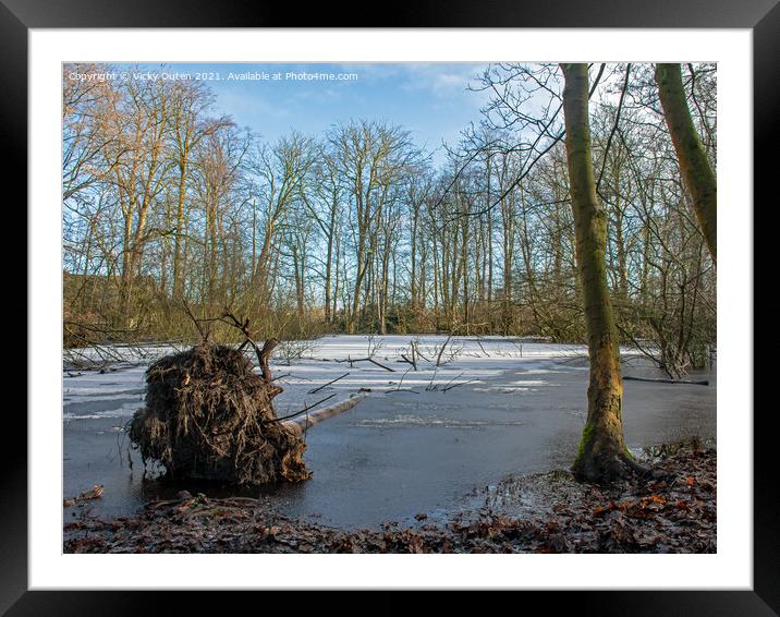 A fallen tree in a frozen pond with snow on fallen Framed Mounted Print by Vicky Outen