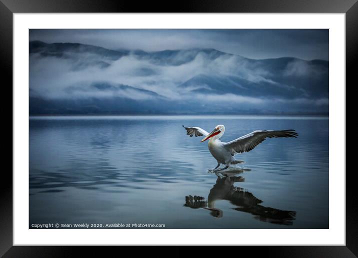 The Blue Hour  Framed Mounted Print by Sean Weekly