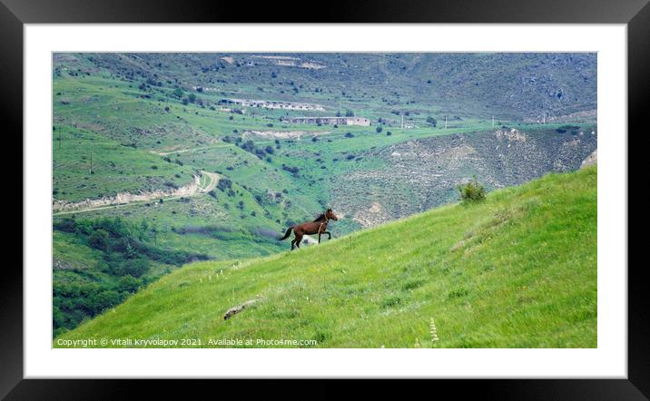 Pasture in the mountains Framed Mounted Print by Vitalii Kryvolapov