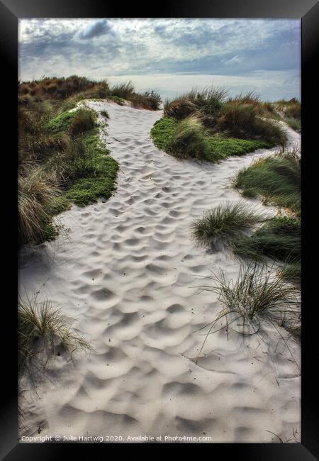 The Sand Garden Framed Print by Julie Hartwig