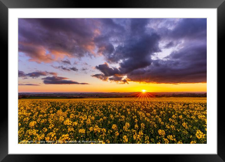 Sunset over a field of rapeseed Framed Mounted Print by Gary Holpin
