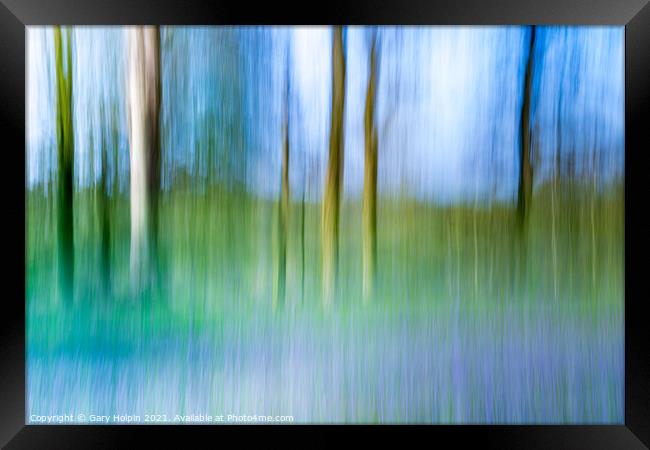 Bluebell wood abstract  Framed Print by Gary Holpin