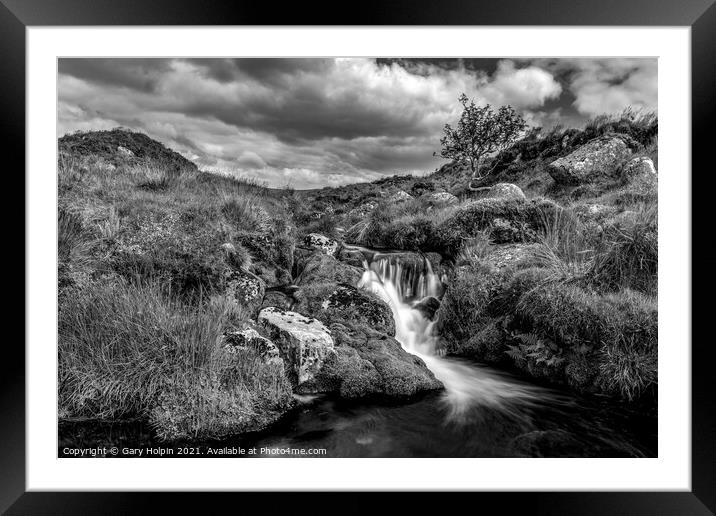 River Meavy Dartmoor  Framed Mounted Print by Gary Holpin