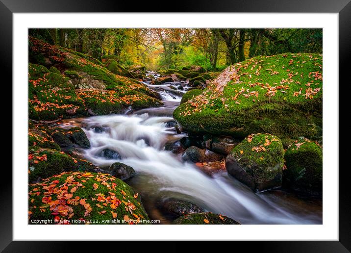 Autumn colours on the River Avon, Dartmoor Framed Mounted Print by Gary Holpin