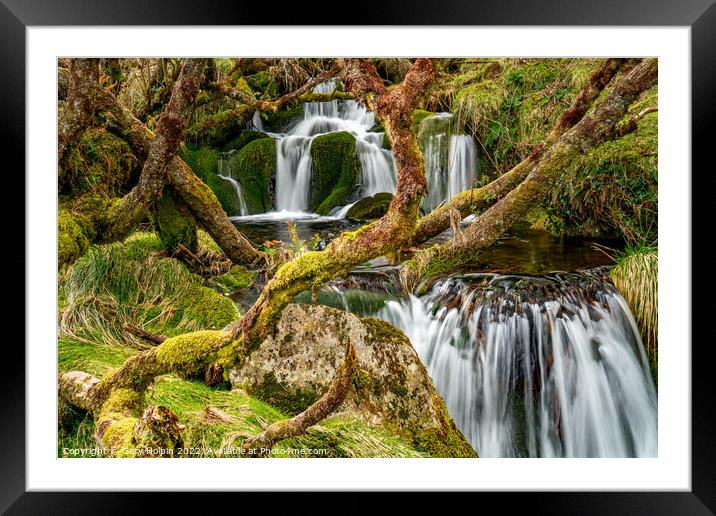 Dartmoor hidden waterfall Framed Mounted Print by Gary Holpin