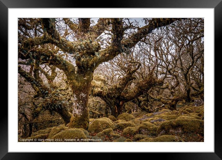 Wistmans wood Dartmoor Framed Mounted Print by Gary Holpin