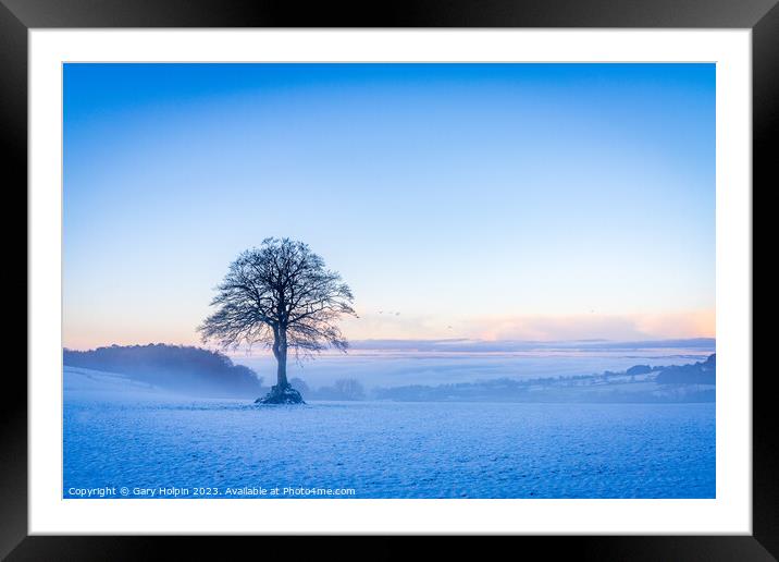 Winter tree Framed Mounted Print by Gary Holpin