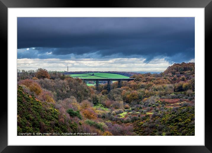 Autumn at the Meldon viaduct Framed Mounted Print by Gary Holpin