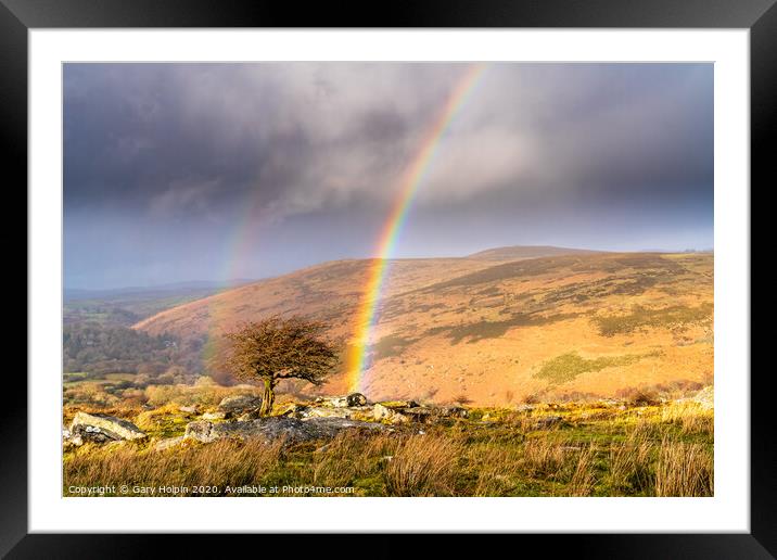 Double rainbow over a lone Dartmoor tree Framed Mounted Print by Gary Holpin