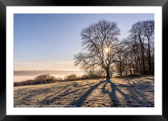 Shadows of a tree on a frosty Devon hilltop Framed Mounted Print by Gary Holpin