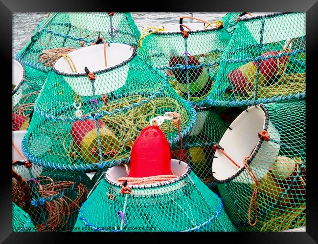 Lobster traps Framed Print by Stephanie Moore