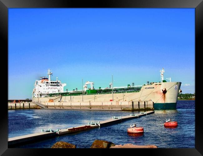 Large ocean going freighter Framed Print by Stephanie Moore