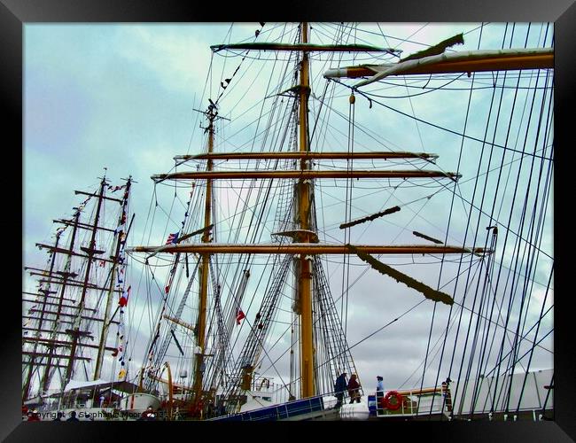 A forest of Masts and Rigging Framed Print by Stephanie Moore