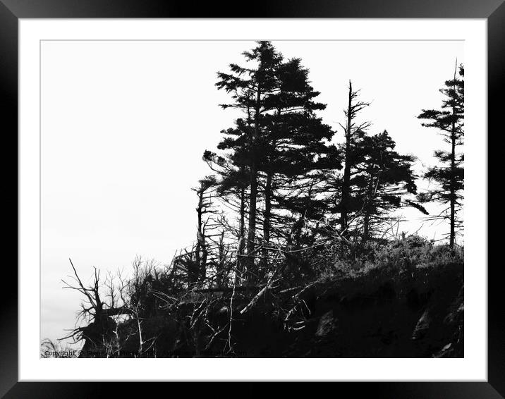 Erosion in Black and White Framed Mounted Print by Stephanie Moore