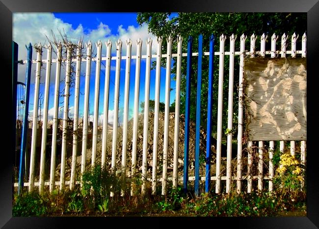 Painted metal fence Framed Print by Stephanie Moore