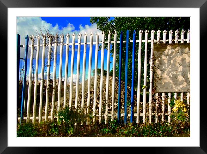 Painted metal fence Framed Mounted Print by Stephanie Moore