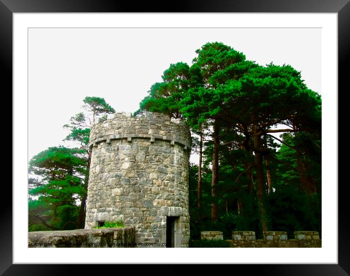 Glenveagh tower Framed Mounted Print by Stephanie Moore