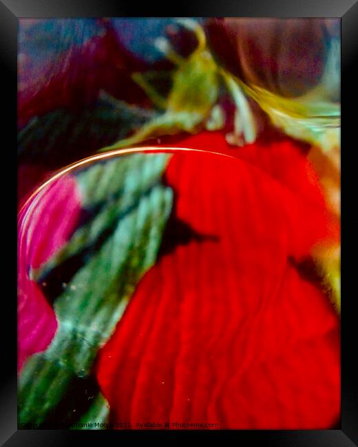 Abstract flowers Framed Print by Stephanie Moore