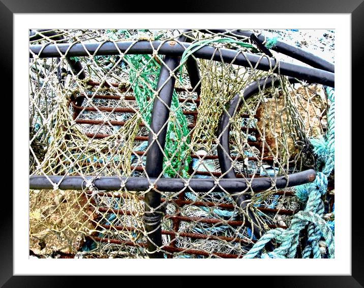 Lobster traps Framed Mounted Print by Stephanie Moore