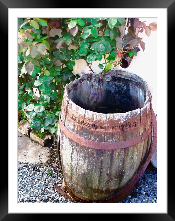 Rain Barrel Framed Mounted Print by Stephanie Moore