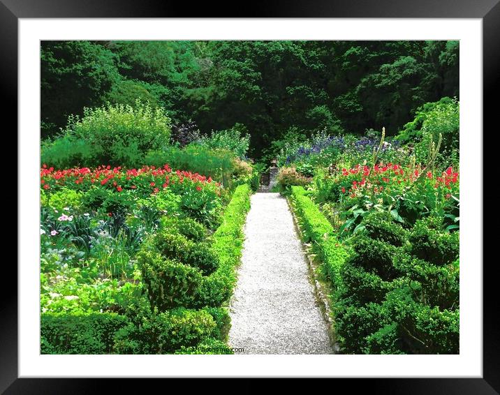 Garden Path Framed Mounted Print by Stephanie Moore
