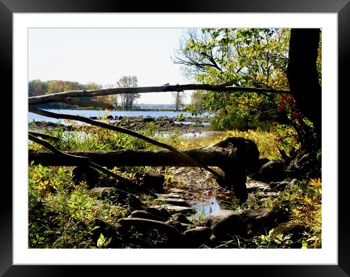 The Ottawa River Framed Mounted Print by Stephanie Moore