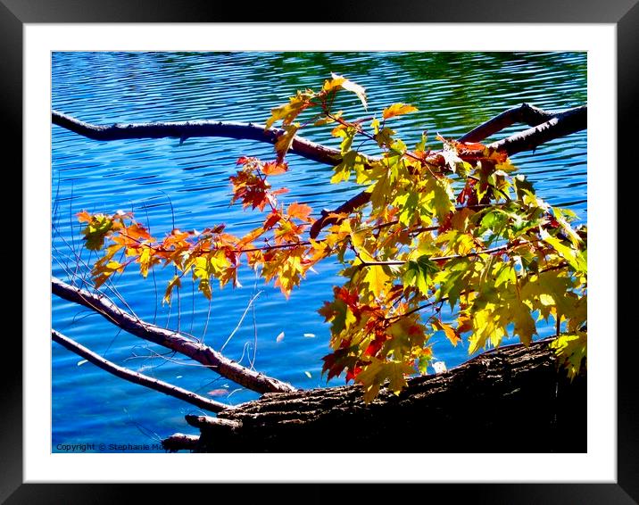 Leaves Framed Mounted Print by Stephanie Moore
