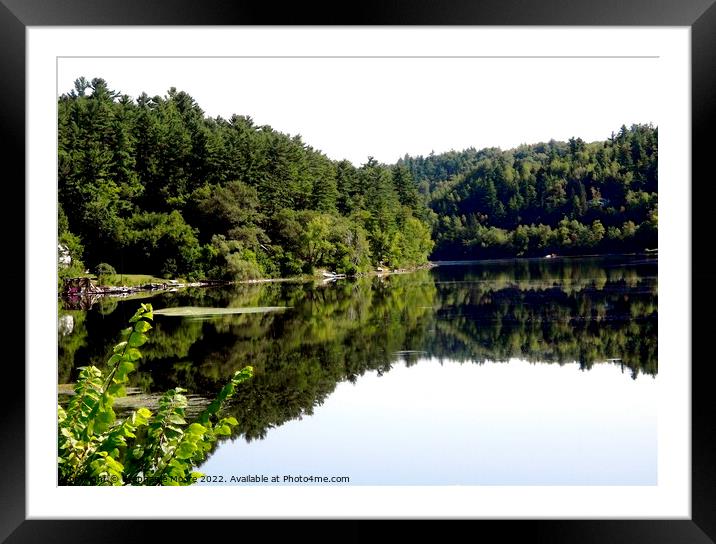 Reflections in La Isobel, Gatineau, Quebec Framed Mounted Print by Stephanie Moore