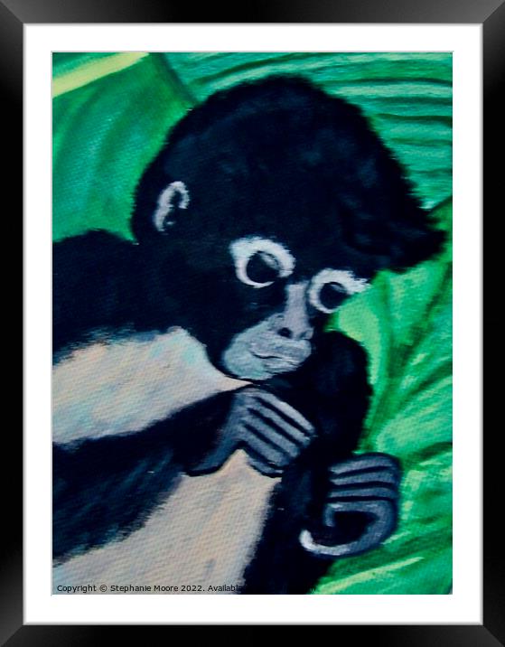 Black Monkey Framed Mounted Print by Stephanie Moore