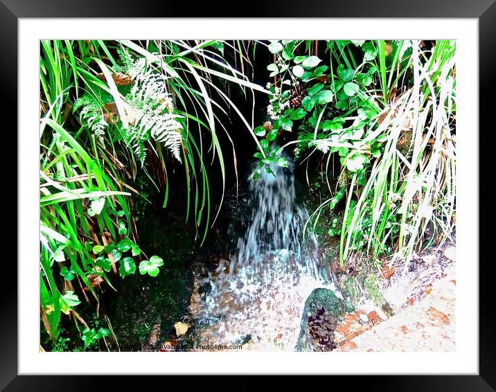 Miniature Waterfall Framed Mounted Print by Stephanie Moore