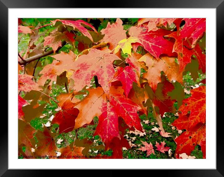 Red Maple Leaves Framed Mounted Print by Stephanie Moore