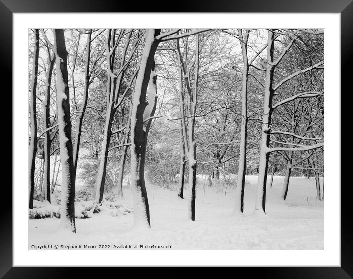 Snow covered trees Framed Mounted Print by Stephanie Moore