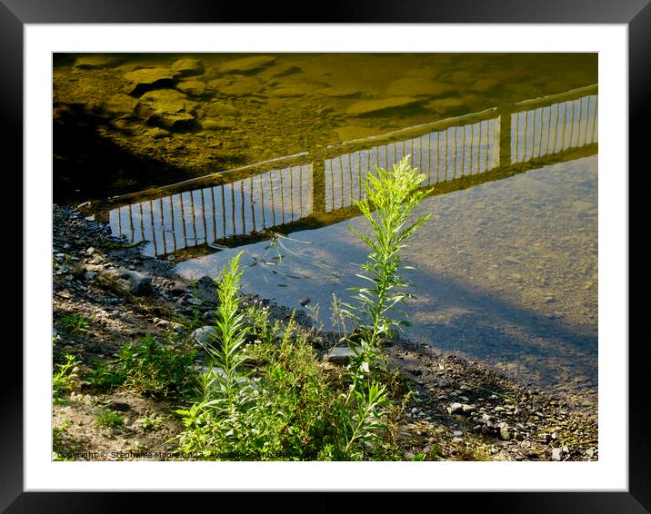Reflections in the river Framed Mounted Print by Stephanie Moore